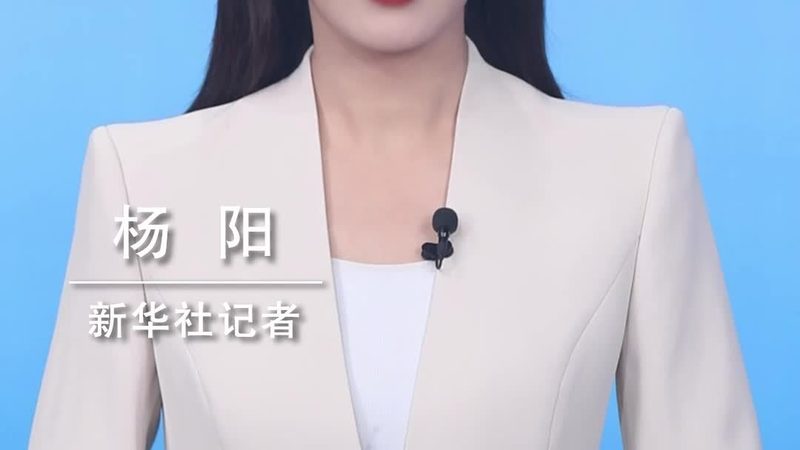 API接口参数加密传输：安全与效率的平衡之道