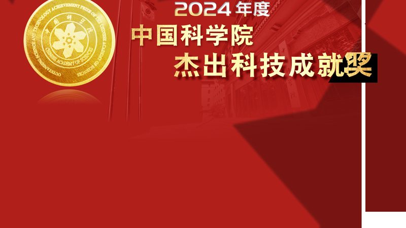 商业智能项目在上海公司的应用与挑战